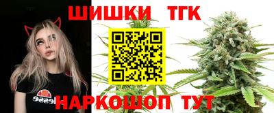 стаф Будённовск