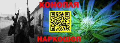 стаф Будённовск