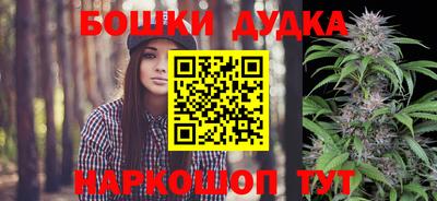 стаф Будённовск