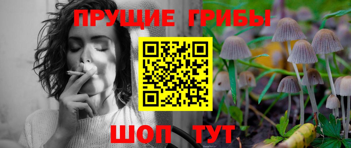 Краснодар  Псилоцибиновые грибы Cubensis  Вход с VPN 